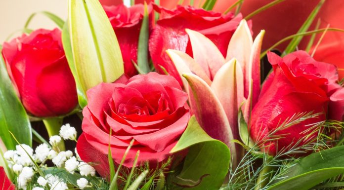 Május első vasárnapja az édesanyáké: ekkor volt az első anyák napja Magyarországon