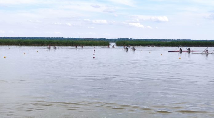 Öt győzelem a Gyulay Zsolt Regionális Akadémiai Kupán