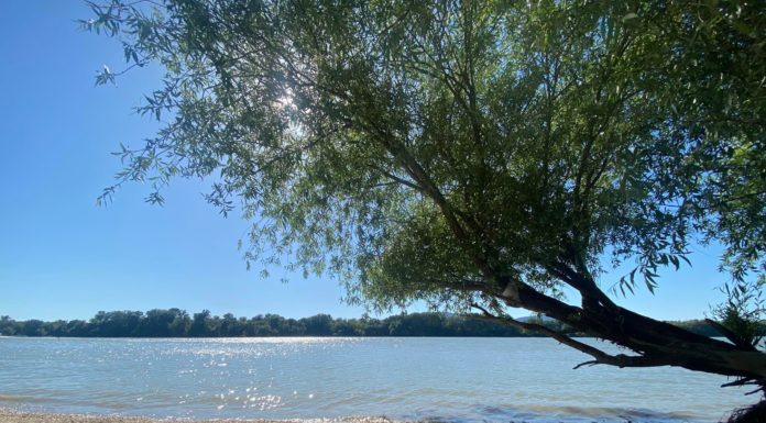 Nyugodtan fürödhetünk a dunai strandokon Gödön