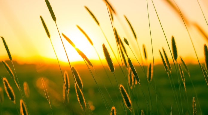 40 foknál is melegebb lehet a hétvégén