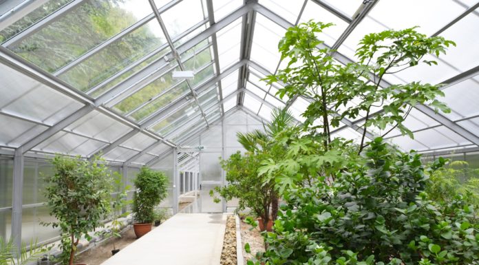 Lélegzetelállító botanikus kert épül Gödön