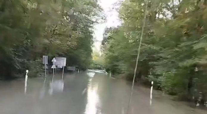 Lezárták a 2-es utat Göd és Vác között a Duna áradása miatt