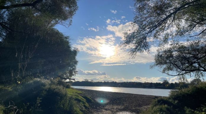 A Dunakanyar tengerpartjaként említi a gödi Homokszigetet egy népszerű online magazin