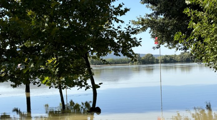 Bár az árvíz tetőzik, a gödieket ez nem állítja meg