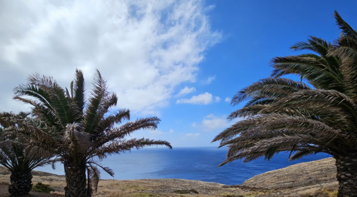 Egzotikus tájakon: Madeira (I. rész)