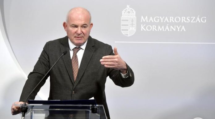 Meghirdették a NEA összevont és egyszerűsített pályázatait