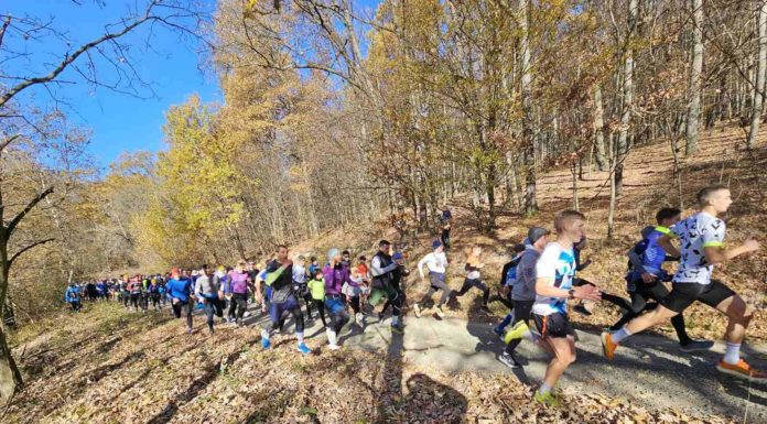 Nagy Hideg-hegy futás: a gödi kajak-kenusok is vállalták a kihívást