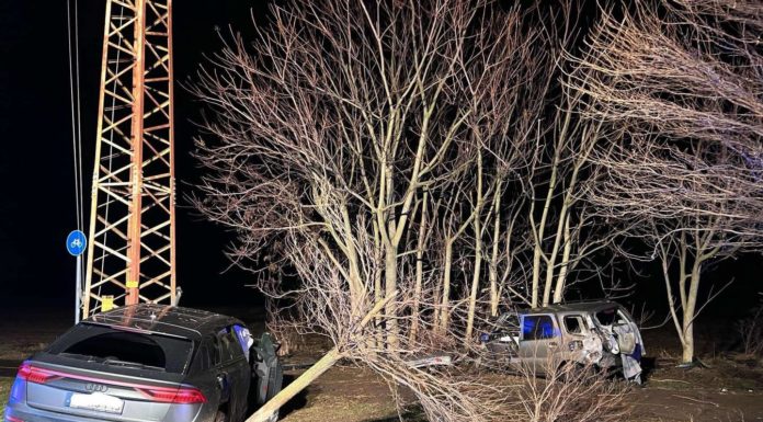 Két autó ütközött össze Gödön, az egyik kidöntött egy fát