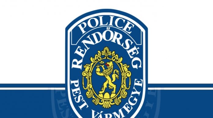 Megölte a feleségét, majd feladta magát egy fóti férfi