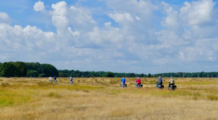 Erdőben, vízen, két keréken: a gödi gyerekeket is várják a vándortáborok