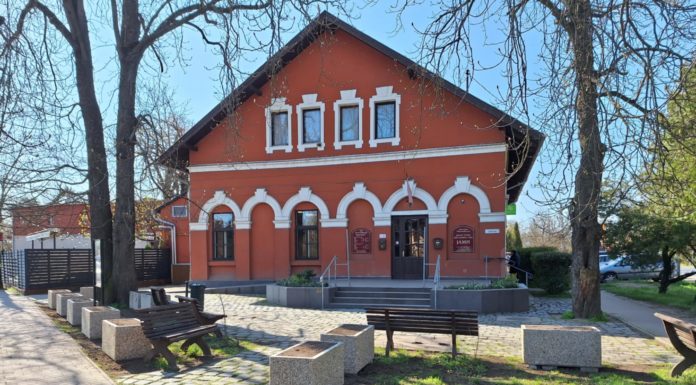 Virágültetést tanulhatnak a gödiek