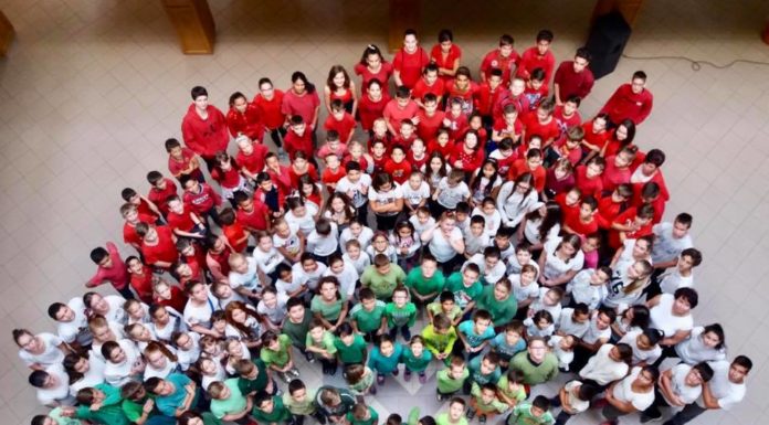 Így hatnak a demográfiai nehézségek a felvidéki magyar iskolákra