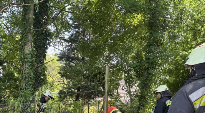 Egy munkagép gázcsonkot szakított ki Gödön