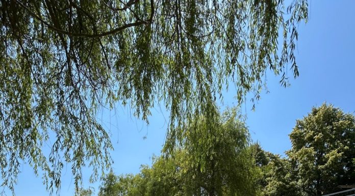 Gödi kajakos sikerek a Regionális Eszkimó-Indián Játékokon