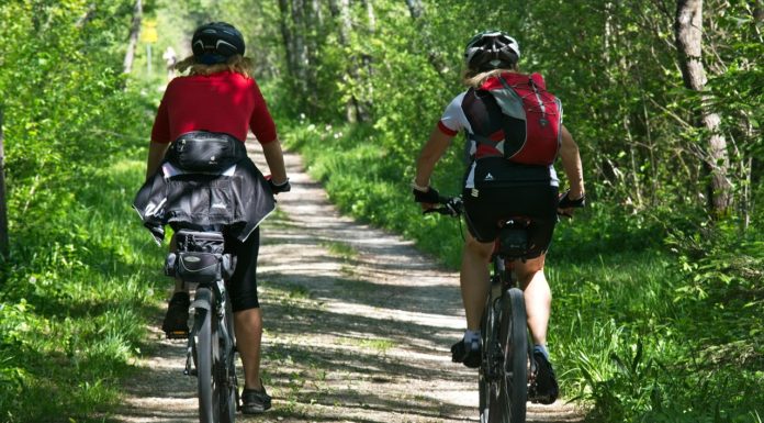 Kerékpáros turisztikai hálózatot alakítanak ki a Dunakanyar térségében