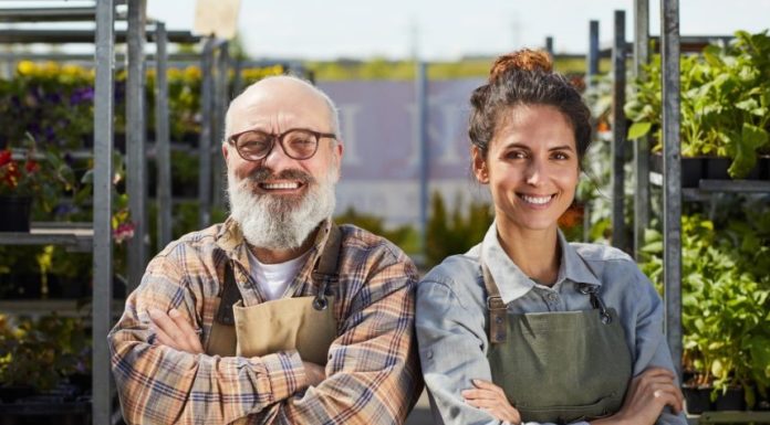 A generációváltás legveszélyesebb csapdája: amikor az alapító nem tud kiszállni