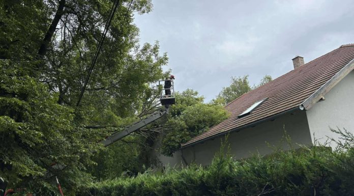 Fa dőlt egy ház tetőszerkezetére Gödön