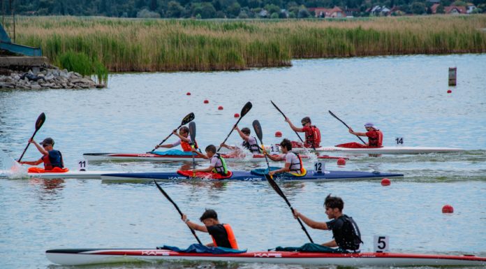 Nyolc aranyérem a Budapest, Pest Vármegye Bajnokságon