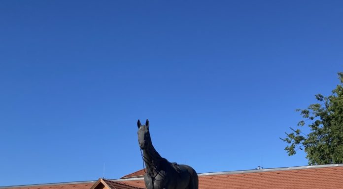 Országos Kincsem-konferencia Gödön – A verhetetlen csodakanca öröksége