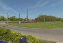 Jogsi nélkül hajtott át egy sofőr a piros lámpán Gödön